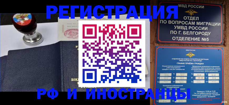 временная регистрация поиск в Чкаловске